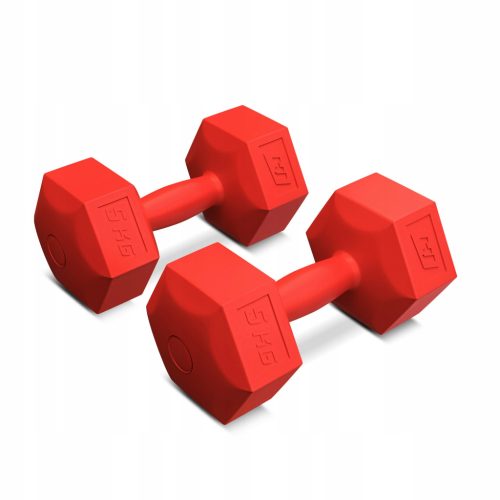 Dumbbells uteži za fitnes vaje 2x5kg kompozitni šesterokotni set