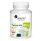 Ekstrakt Podagrycznika Pospolitego 10:1 400mg, 100 kapsul – Idealno za Vegane