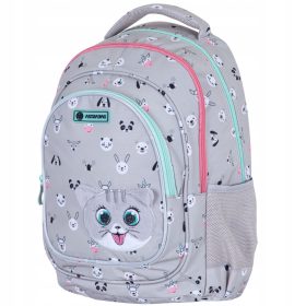   Astra Slovenian School Backpack Shades of Pink, Shades of Gray and Silver, Multicolored 20 l