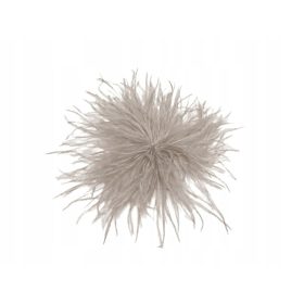 Eleganten broška iz marabujevih peres, svetlo bež