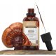 Vodno-alkoholni izvleček reishi glive Encann® AdaptSense - 50 ml