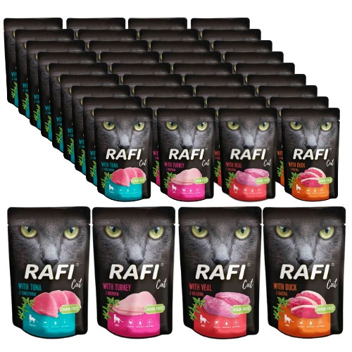 MIX mačja hrana v vrečkah 40 x 100 g RAFI