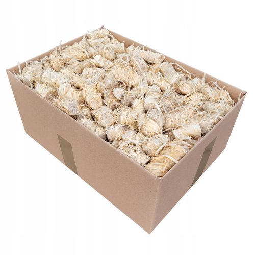  Vžig AGNIS 5 kg