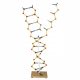 Kromosomi DNA-RNA model