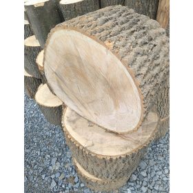 ASH STAMP ZELO TRD JESIONOVI KLOVEC ZA VEČJO MOČ 46-56