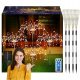 4x VRTNA SOLARNA LED SVETILKA ZA DREVES Dandelion FIREWORKS 480LED DALJINSKI