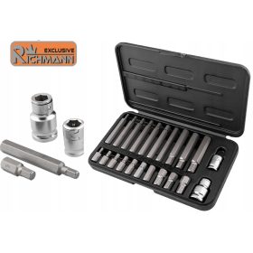   SET KLJUČEV IMBUS 22-delni komplet H4-H14 Jeklo S2 Richmann Ekskluzivno