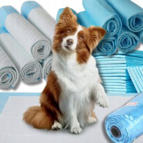   Zlata vpojna podloga za pse 60x90 cm 50 kosov + GRATIS vrečke