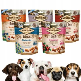 Carnilove Prigrizek za pse Losos z Borovnicami 200 g