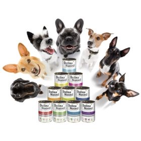 DOLINA NOTECI MEŠANICA OKUSOV 10x 800g