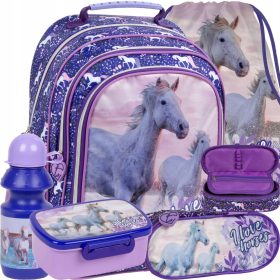 Backup Šolski Nahrbtnik z Več Predeli