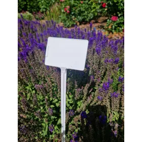  Stoječi znak bel 100 x 46,5 cm 100 kosov.