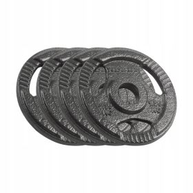   elezni komplet uteži Rebel Active 4x1,25 kg 6 kg luknja 31 mm plošča z ročaji