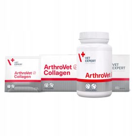 Vitaminski kompleti za mačke in pse ArthroVet 90 tablet