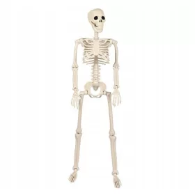 Halloween Dekorativna Človeška Okostnjak 93 cm