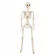 Halloween Dekorativna Človeška Okostnjak 93 cm