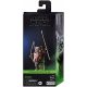 Hasbro Star Wars The Black Series - Figurica Wicket 15 cm Vrnitev Jedija F7103