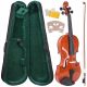 V-TONE V 44 slovenska violina, 4/4 velikost