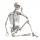 Model anatomije človeškega okostja 90 cm dekoracija okostja