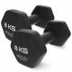 Dumbbells UTEŽI ZA VAJE LITOŽELEZNE NEDRSEČE Dumbbells SET 2x8 KG