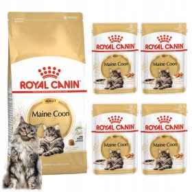   Royal Canin Maine Coon Adult visokokakovostna hrana za mačke