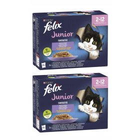 Felix Fantastični Junior Mokra Hrana za Mladiče 24x85g