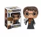 arobna Figura Harryja Potterja s Sovo Hedwig