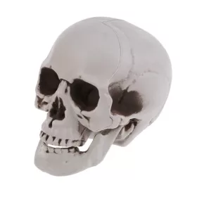 UMETNA LOBANJA ZA HALLOWEEN DEKORACIJO