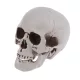 UMETNA LOBANJA ZA HALLOWEEN DEKORACIJO