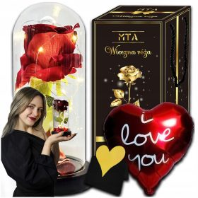   ELEGANTNA VRTNICA V KLETKI - DARILNA IDEJA ZA MAMO OB 40. IN 50. ROJSTNEM DNEVU ŽENSKE