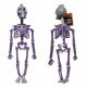Slovenian Name: DEKORACIJA ZA NOČ ČAROVNIC S SKELETOM ČLOVEKA SKELETOR 33 cm

SEO-Optimized Description: 
Prihaja noč čarovnic in čas je, da svoj dom odeliš v pravo strašljivo vzdušje. Predstavljamo t