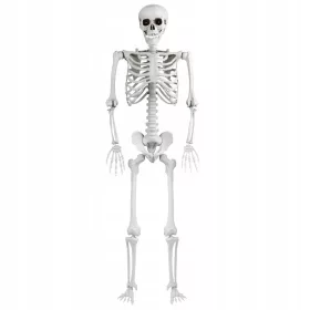   HALLOWEEN KOSTRUM SKELETON BONEBODY 165 cm DEKORACIJA ZA NOČ ČAROVNIC