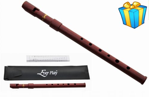 KLJUČ ZA FLAŽOLET D + BREZPLAČNI KOVINSKI KAZOO