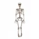 HALOWEENSKI OKRAS SKELETON VISEČI 90 CM