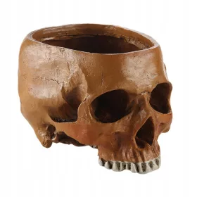   Elodijska 20 cm Živčna Časovna Lobanja Bar Prop Cvetlični Vrt Bonsai Lonček Rumena-16.5x11x11.5cm
