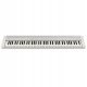 Tipkovnica Casio CT-S1WE
