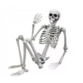 HALLOWEEN KOSTUM ČLOVEŠKEGA OKOSTJA 90CM