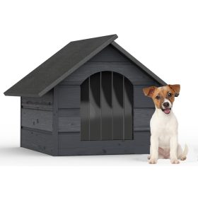 Pasja uta za psa izolirana različnih barv + zavesa + gratis