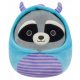 Squishmallows Rocky Raccoon Plush v čarovniškem kostumu, 19 cm
