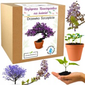   Darilo za učitelja - Komplet za gojenje srečnega drevesa za najboljše učitelje