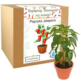 Darilo za učitelje, set za gojenje paprike Jalapeno v šoli