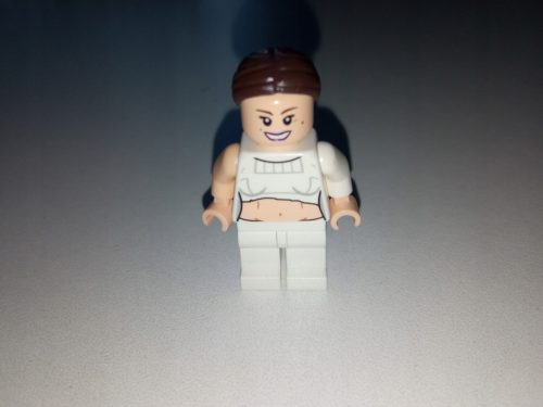 LEGO figura Star Wars - SW0490 Padme Amidala Geonosis Arena