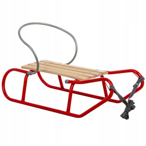 Energetic Metal Sleds for Children