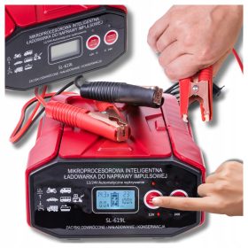 Avto Akumulator Usmernik 24V 12V 30A AGM START-STOP AVTOMAT