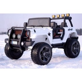 ELEKTRIČNI JEEP ZA 2 OTROKA 24V 4x120W PILOT AMORY