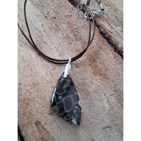 Ahat Turitella Fosil Obesek v Srebru