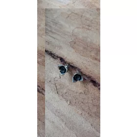  Srebrni uhani z vrtnicami