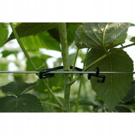    REMA REBSTAR BIG 1104 - SPONKE ZA MALINE - Tip 2, premer žice 2-4 mm | pakiranje 1000 kosov