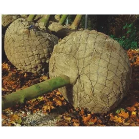    KOŠARE ZA PAKIRANJE RASTLIN Z GRUPO - Ø 100 cm / 25 kosov.