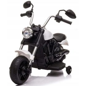 Motor Ramiz Beli do 20 kg